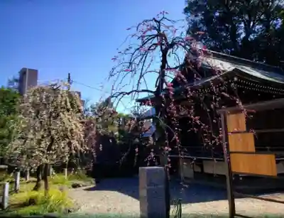 布多天神社(東京都)
