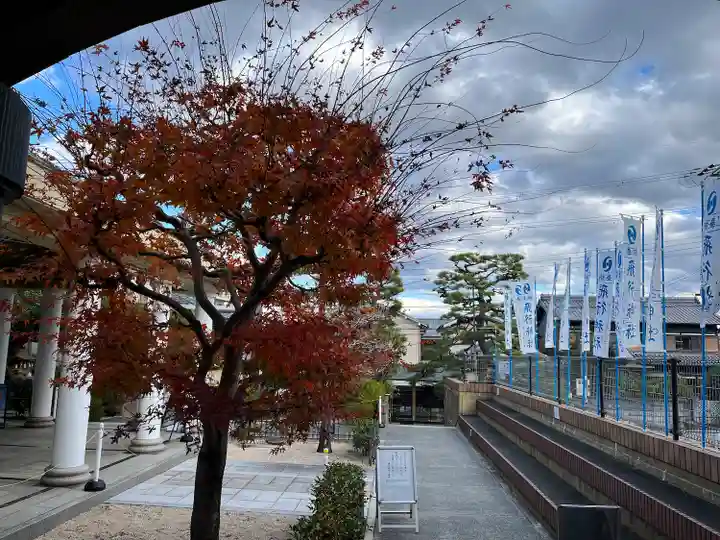 飛行神社(京都府)