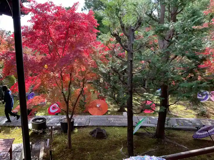 勝林寺(京都府)