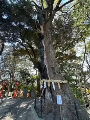 常陸國總社宮(茨城県)