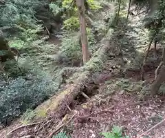 鞍馬寺(京都府)