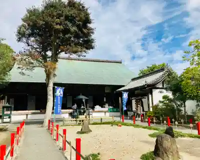 大御堂寺(野間大坊)の本殿・本堂