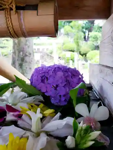 鳩森八幡神社の手水