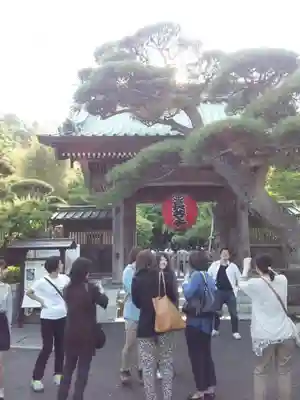 長谷寺の山門・神門