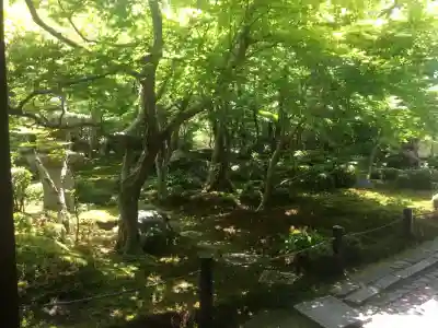 圓光寺(京都府)