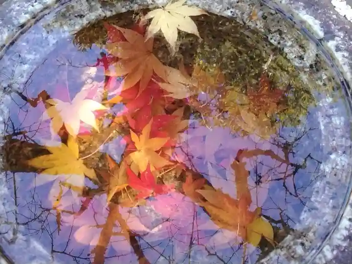 長壽寺(長寿寺)(神奈川県)