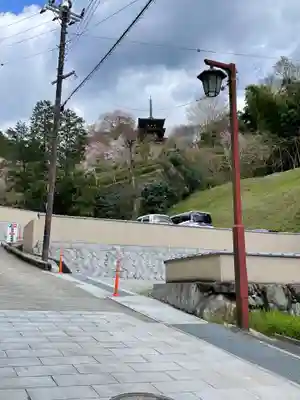 岡寺(龍蓋寺)(奈良県)