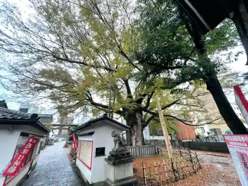神明宮(石川県)