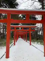 札幌伏見稲荷神社の鳥居