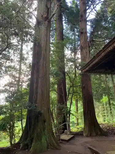熊野神社の自然