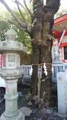 笠䅣稲荷神社の建物その他