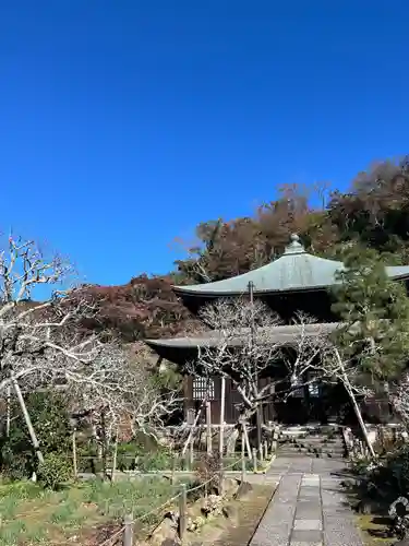 瑞泉寺(神奈川県)