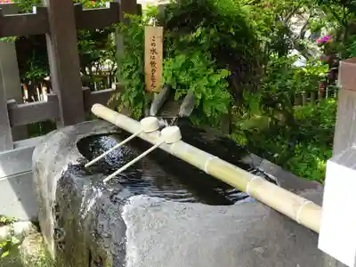 妙蓮寺の手水舎