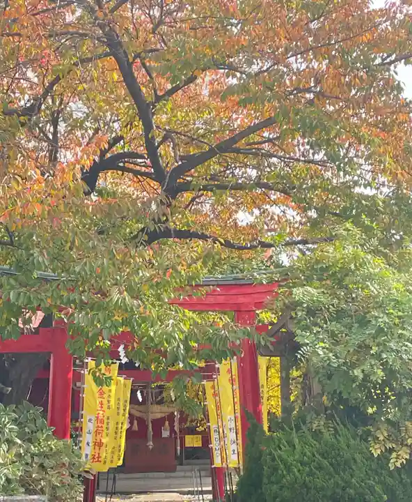 廣田神社~病厄除守護神~(青森県)