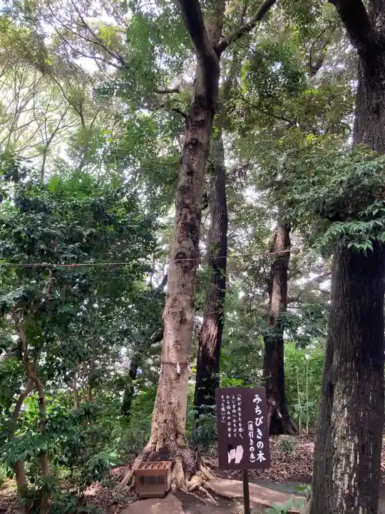 鶴嶺八幡宮(神奈川県)