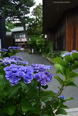 弘明寺(神奈川県)