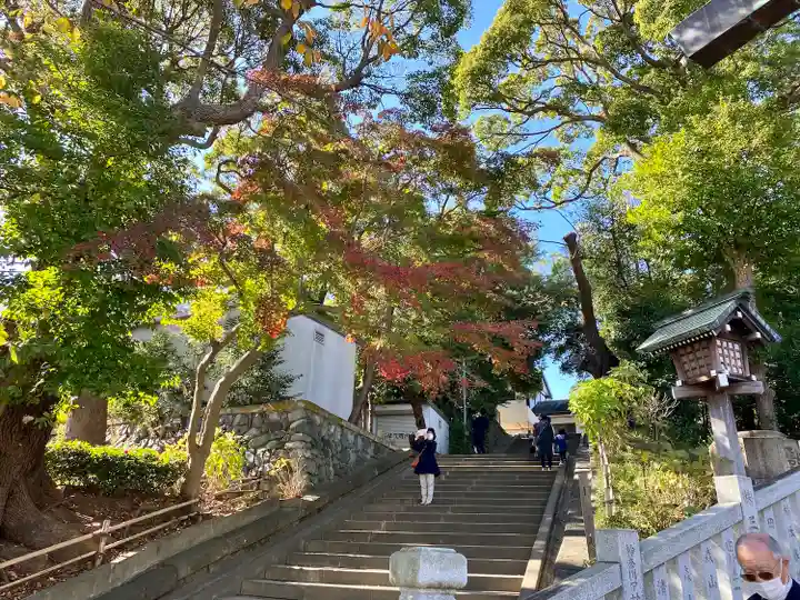伊勢山皇大神宮(神奈川県)