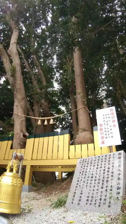 ほしいも神社(茨城県)
