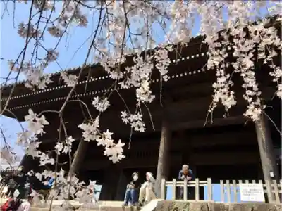東郷寺の山門・神門