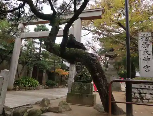 意富比神社の鳥居