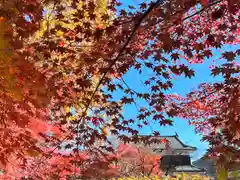 眞田神社の自然