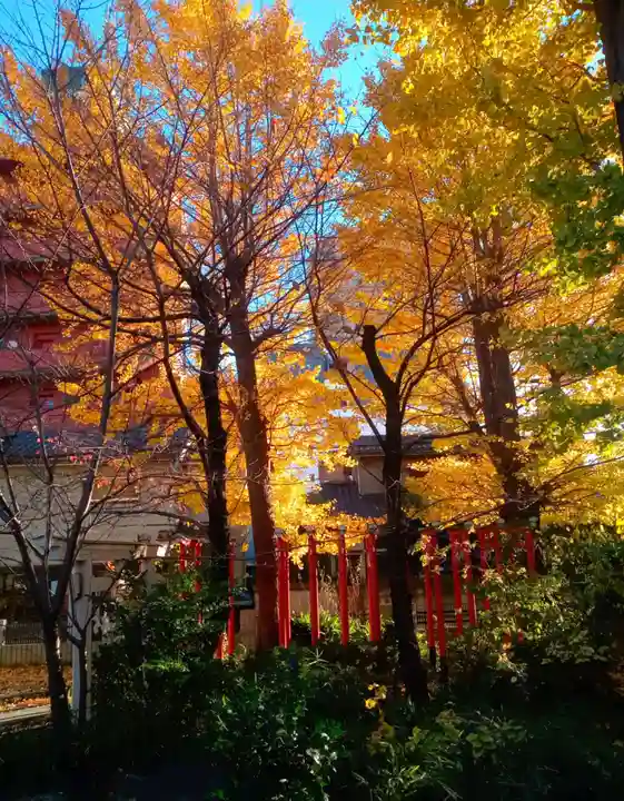 若宮八幡宮 の自然