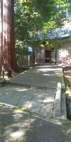 若狭彦神社（上社）の本殿・本堂