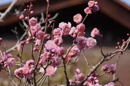 長岡天満宮(京都府)