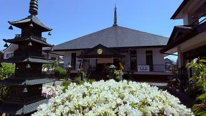 善根山弘法寺(福井県)