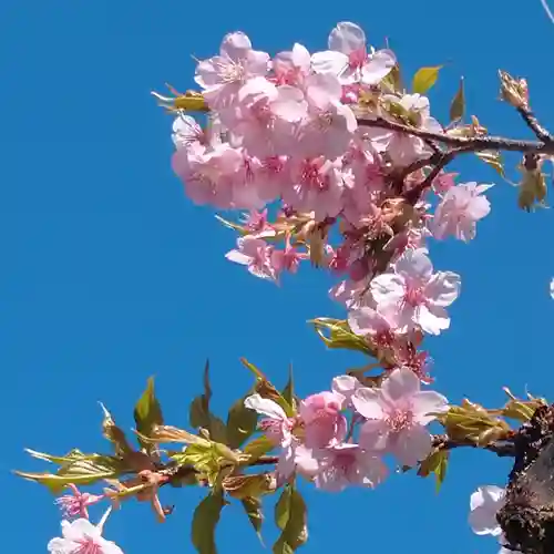 日蓮宗 総本山 塔頭 定林坊(じょうりんぼう)の御朱印