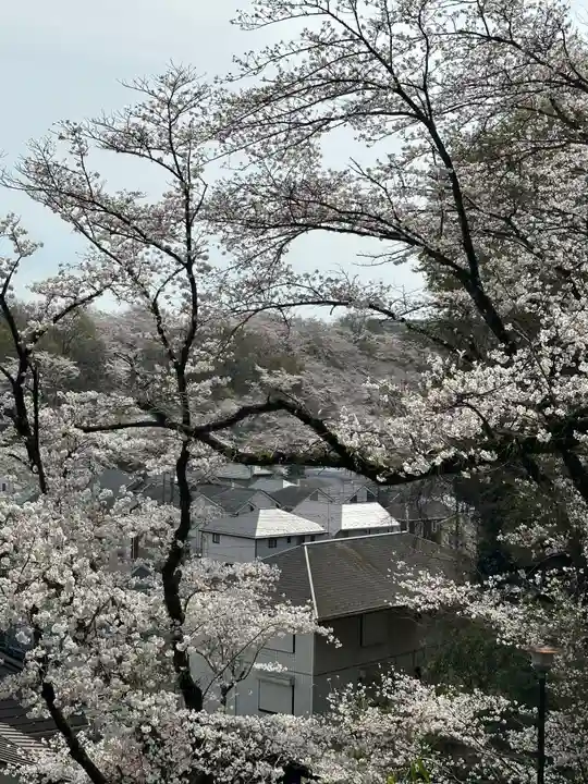 榛名神社(東京都)