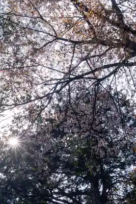 大田神社（賀茂別雷神社境外摂社）(京都府)