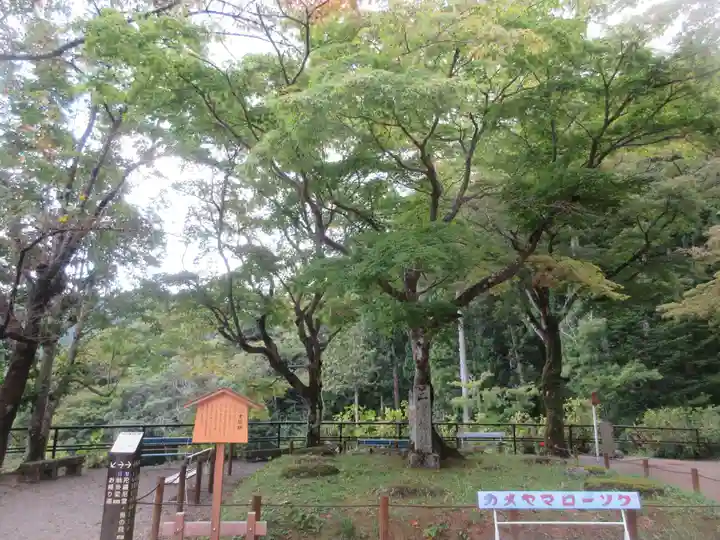 長谷寺(奈良県)