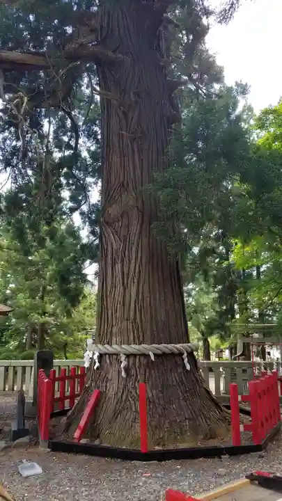 志和古稲荷神社の自然