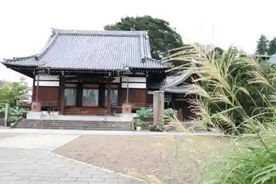 善導寺の本殿・本堂