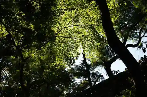 三光稲荷神社(愛知県)