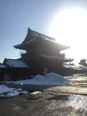 大通寺(長浜御坊)の山門・神門
