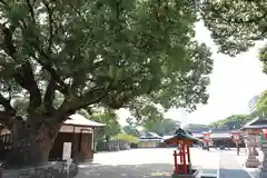 佐嘉神社／松原神社(佐賀県)