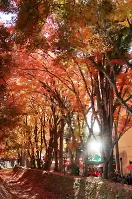 甲斐國一宮 浅間神社(山梨県)