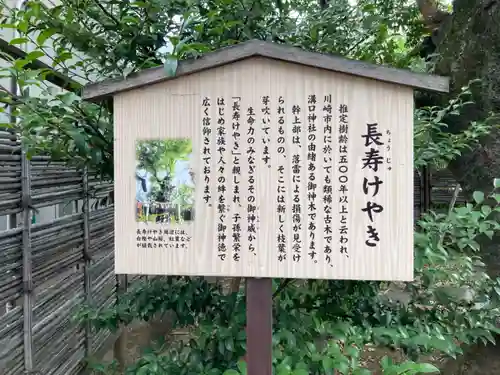 溝口神社(神奈川県)