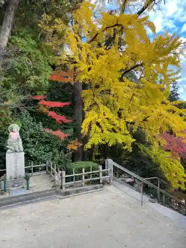 瑜伽山蓮台寺(岡山県)