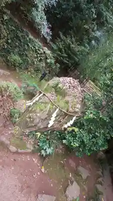 宇治上神社のその他建物