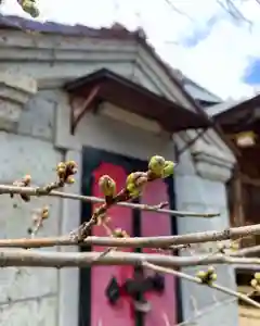 滑川神社 - 仕事と子どもの守り神(福島県)(2025年04月04日(金) 15時14分54秒投稿)
