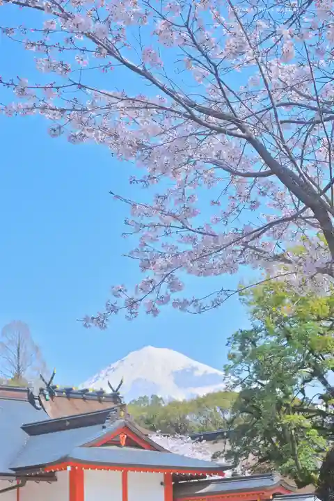 富士山本宮浅間大社(静岡県)