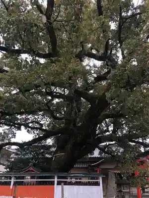 龍田神社の自然
