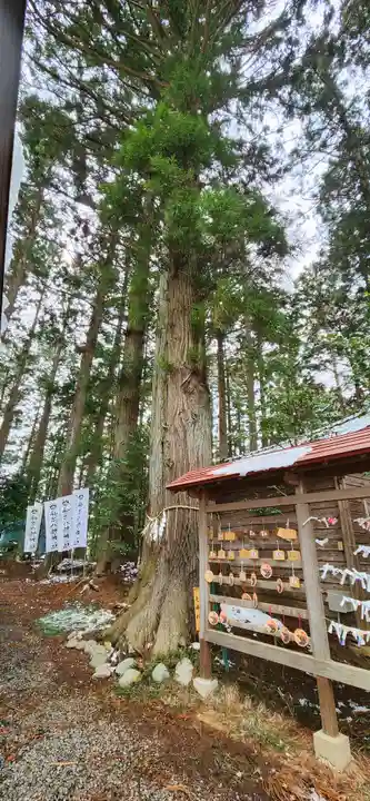 坪沼八幡神社の周辺