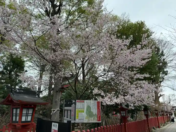 川越八幡宮の{uncategorized: "未分類", other: "その他", undefined: "問題あり", building: "その他建物", grave: "お墓", sacred_gate: "鳥居", guardian: "狛犬", statue: "像", buddha: "仏像", history: "歴史", nature: "自然", garden: "庭園", animal: "動物", pagoda: "塔", temizu: "手水舎", mountain_gate: "山門・神門", sanctuary: "本殿・本堂", subordinate: "末社・摂社", art: "芸術", scenery: "景色", jizo: "地蔵", ema: "絵馬", goshuin: "御朱印", omikuji: "おみくじ", items: "授与品その他", amulet: "お守り", goshuincho: "御朱印帳", eats: "食事", festival: "お祭り", votive_dance: "神楽", shichigosan: "七五三参", wedding: "結婚式", experience: "体験その他", initially: "初詣", around: "周辺", anti_infection: "感染症対策"}