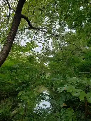 蓮華寺(東京都)