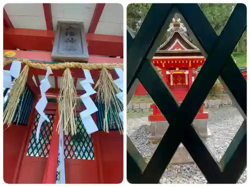 春日神社(奈良県)