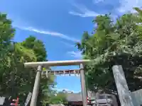浅草神社の鳥居